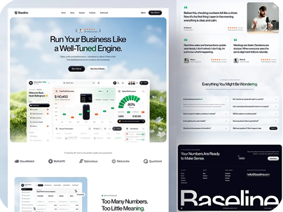 Website design project 8